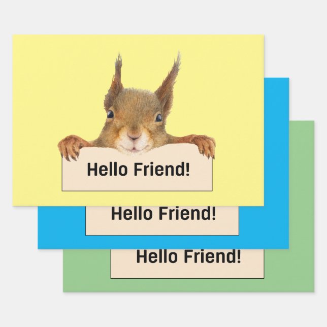 Hello Friend Funny Squirrel  Wrapping Paper Sheets (Set)