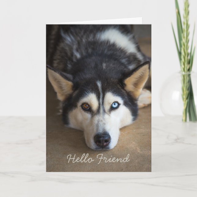 Hello Friend Husky Dog Personalized Greeting Card (Front)