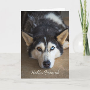 Hello Friend Husky Dog Personalized Greeting Card