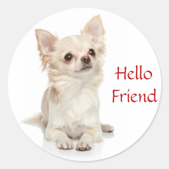 Hello Friend Long Haired Chihuahua Sticker (Front)