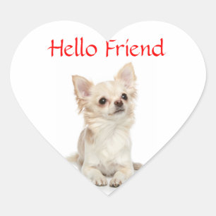 Hello Friend Long Haired ChihuahuaHeart  Sticker