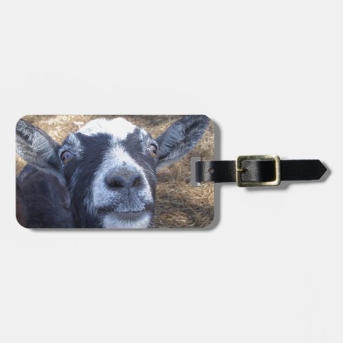 Hello Friendly Goat Luggage Tag