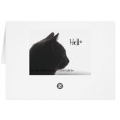 Hello From A Kitty Cat Cards (Back Horizontal)