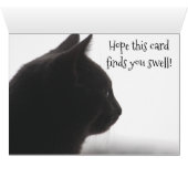 Hello From A Kitty Cat Cards (Inside Horizontal (Bottom))