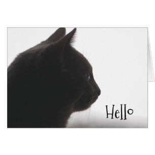 Hello From A Kitty Cat Cards