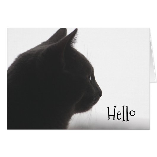 Hello From A Kitty Cat Cards (Front Horizontal)