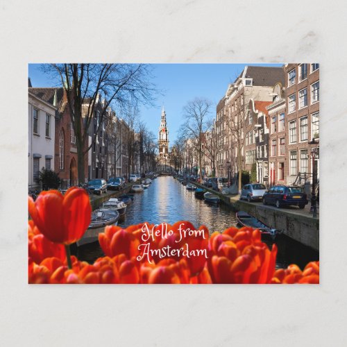 Hello from Amsterdam Spring Red Tulips Postcard