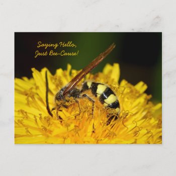 Hello From Bee On Yellow Dandelion Flower Postcard by PhotographyTKDesigns at Zazzle