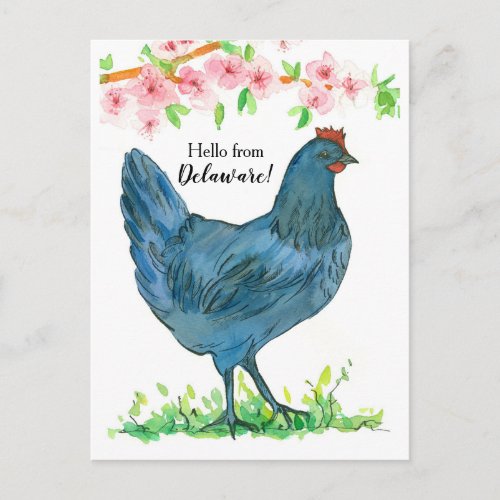 Hello from Delaware Blue Hen Chicken Pink Flowers Postcard
