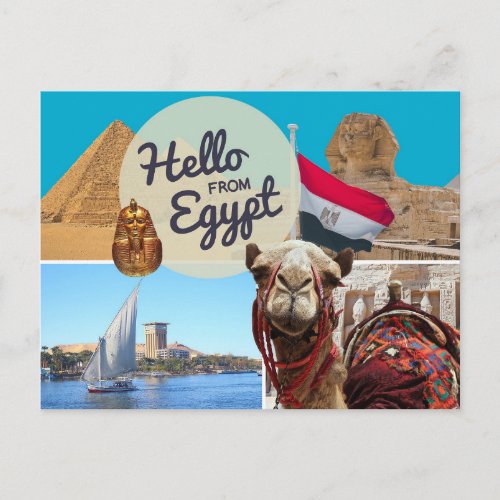 Hello From Egypt Postcard