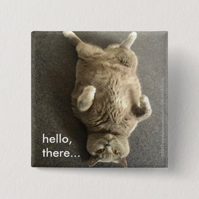 hello from Fiona the Big Blue Cat Pinback Button (Front)