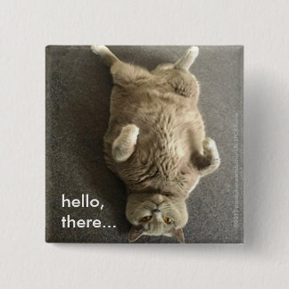 hello from Fiona the Big Blue Cat Pinback Button