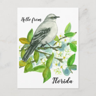 Hello From Florida Mockingbird Orange Blossom Postcard