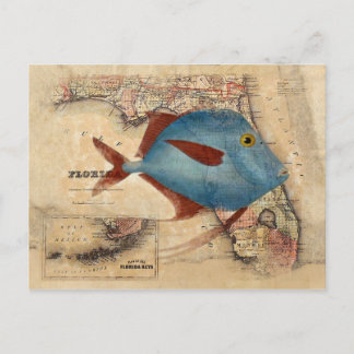 Hello from Florida Postcard