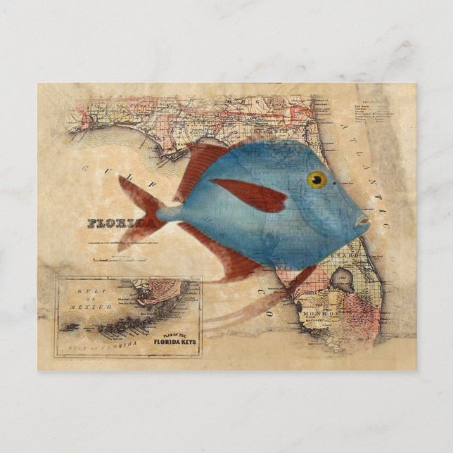 Hello from Florida Postcard (Front)