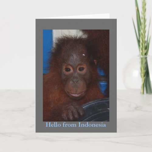 Hello from Indonesia Orangutan Photo Card