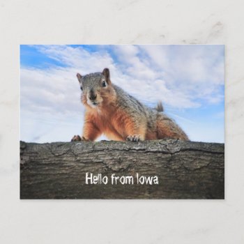 Hello From Iowa Postcard by Siberianmom at Zazzle