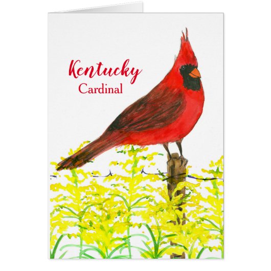Hello From Kentucky Cardinal State Bird Blank Cards (Front)