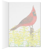 Hello From Kentucky Cardinal State Bird Blank Cards (Inside (Right))