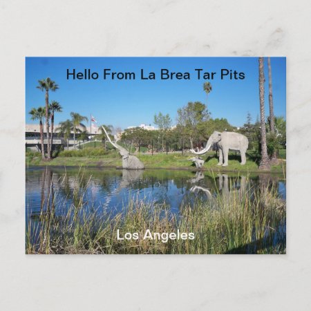 Hello From La Brea Tar Pits  Postcard