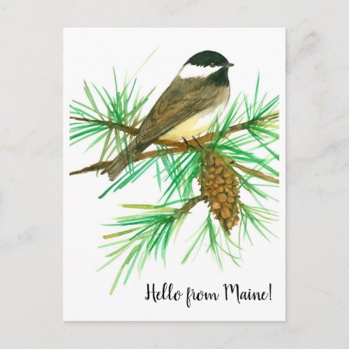 Hello from Maine Black Capped Chickadee Bird Postcard