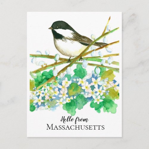 Hello from Massachusetts Chickadee Mayflower Postcard