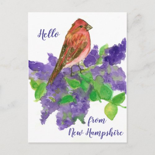 Hello from New Hampshire Purple Finch Postcard