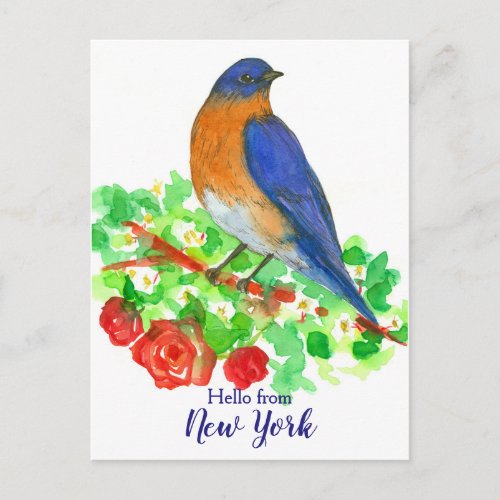 Hello from New York Bluebird Roses Postcard