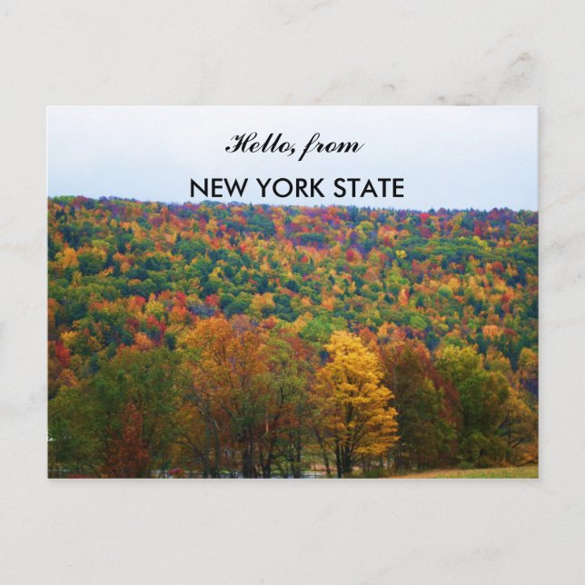 HELLO FROM NEW YORK STATE IN AUTUMN postcard (Front)