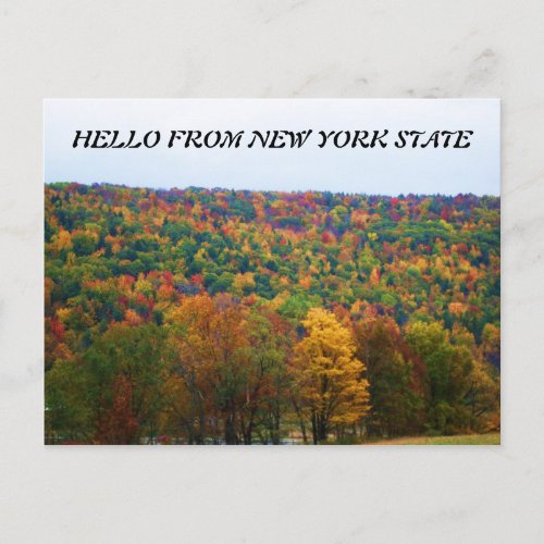 HELLO FROM NEW YORK STATE IN AUTUMN postcard