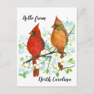 Hello from North Carolina Cardinals Postcard
