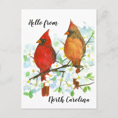 Hello from North Carolina Cardinals Postcard