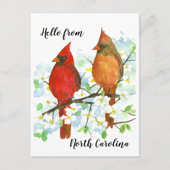 Hello from North Carolina Cardinals Postcard (Front)