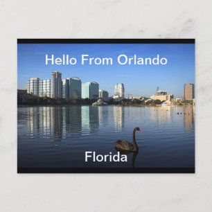 Hello From Orlando, Florida Postcard