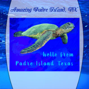 Hello from Padre Island TX Ocean Blue Sea Turtle Postcard