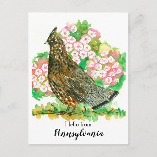 Hello from Pennsylvania Ruffed Grouse Bird Postcard