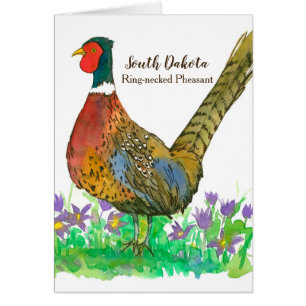 Hello From South Dakota Pheasant Game Bird