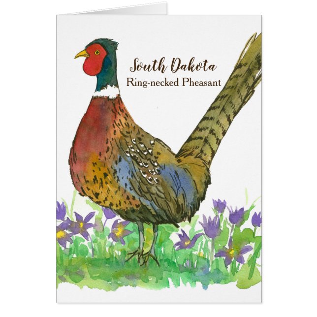Hello From South Dakota Pheasant Game Bird Cards (Front)