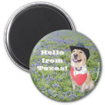 Hello From Texas! Magnet at Zazzle