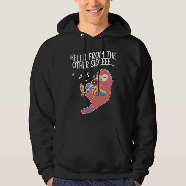 Hello From The Other Side Parrots Bird Scarlet Mac Hoodie (Front)