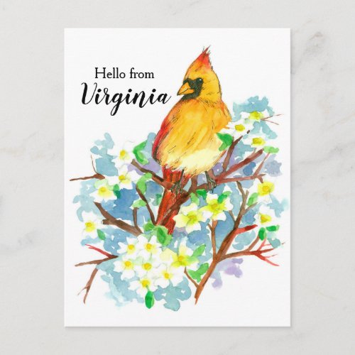 Hello from Virginia Female Cardinal Dogwood Postcard