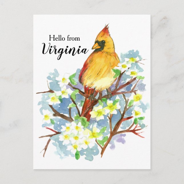 Hello from Virginia Female Cardinal Dogwood Postcard (Front)