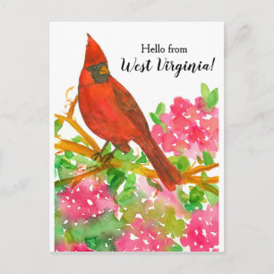 Hello from West Virginia Northern Cardinal Postcard