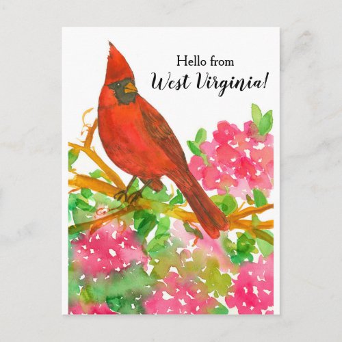 Hello from West Virginia Northern Cardinal Postcard