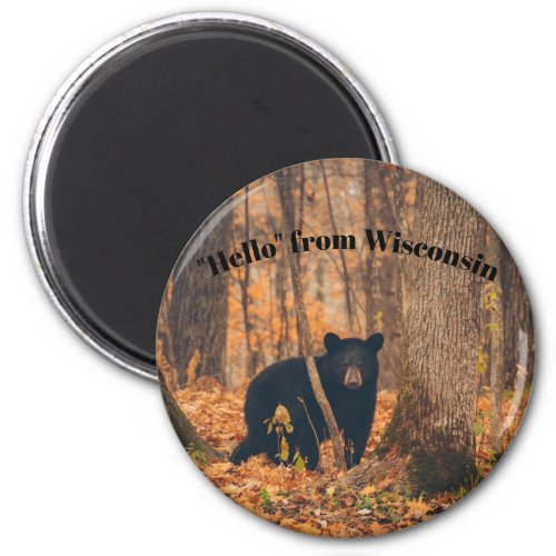 Hello From Wisconsin with Black Bear Magnet