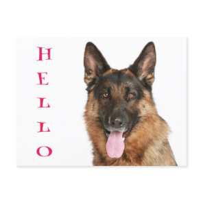 Hello German Shepherd Puppy Dog Blank Post Card