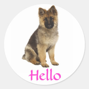 Hello German Shepherd Puppy Dog Greeting Stickers