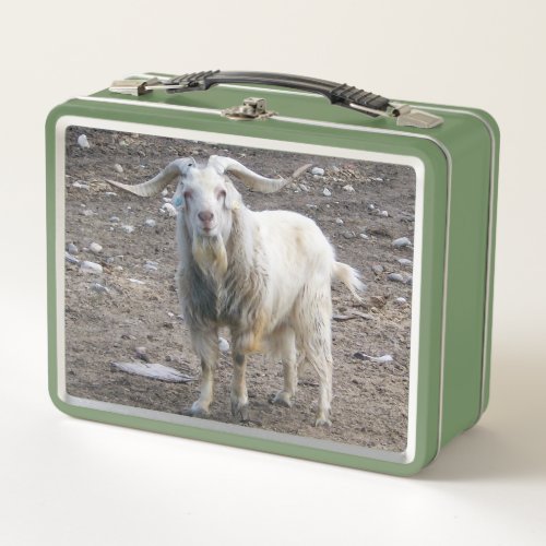 Hello Goat Metal Lunch Box
