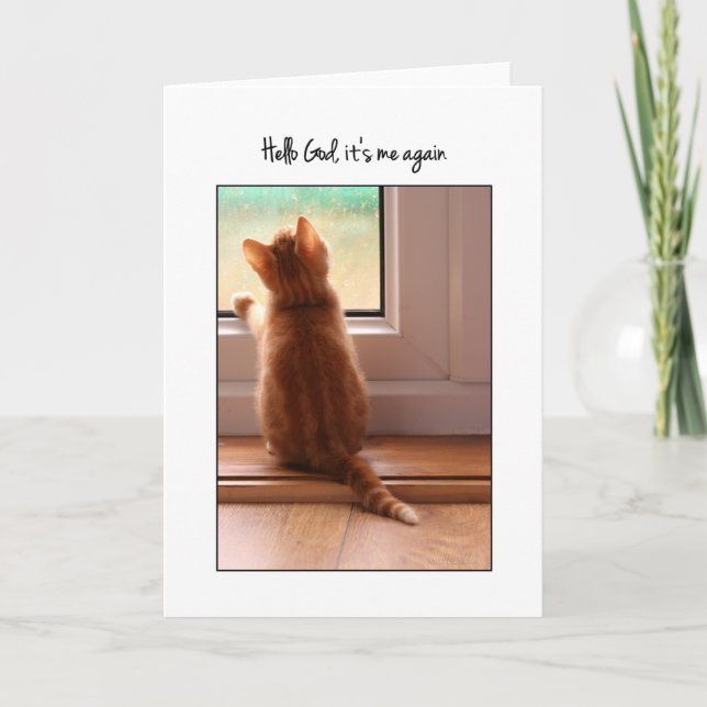 Hello God, it's me again  kitten Blank inside Card (Front)