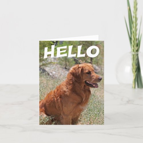 Hello Golden Retriever Puppy Dog Blank Notecard